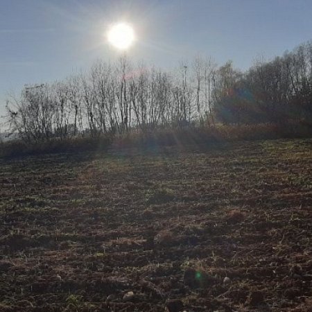 SPRZEDAŻ na DZIAŁKA w Nowy Sącz